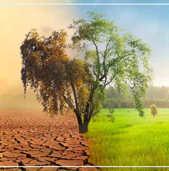 Efectos del cambio climático en los suelos y que hacer para preservarlos