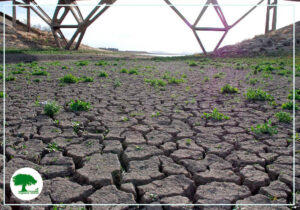 El cambio climático afecta al suelo