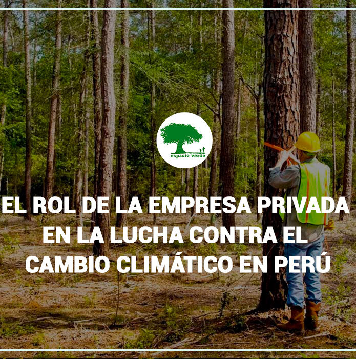 El rol de la empresa privada en la lucha contra el cambio climático en Perú