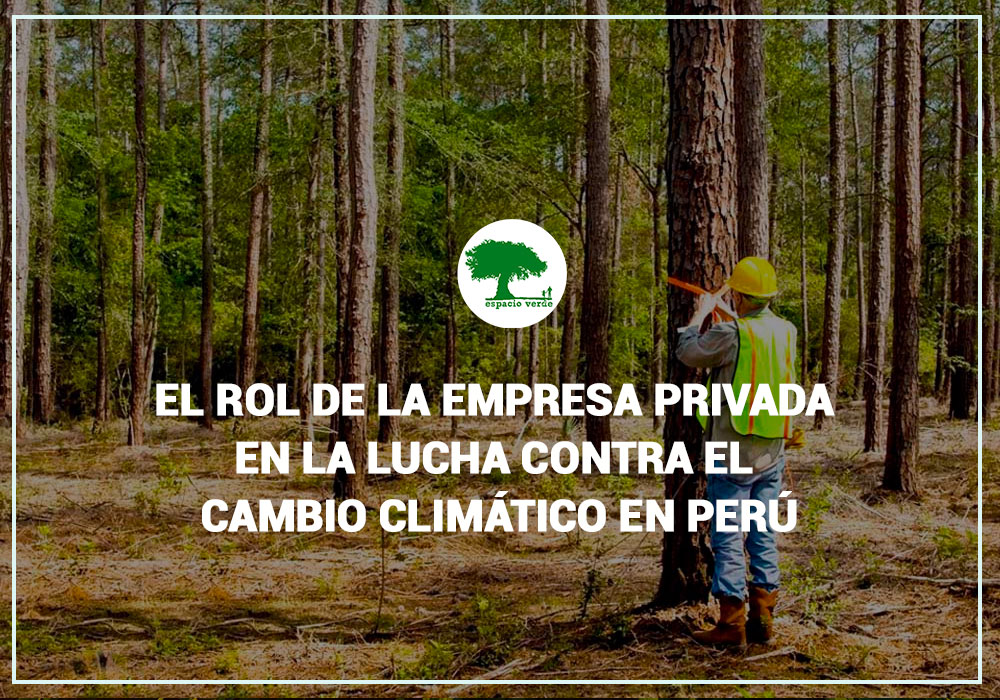 El rol de la empresa privada en la lucha contra el cambio climático en Perú