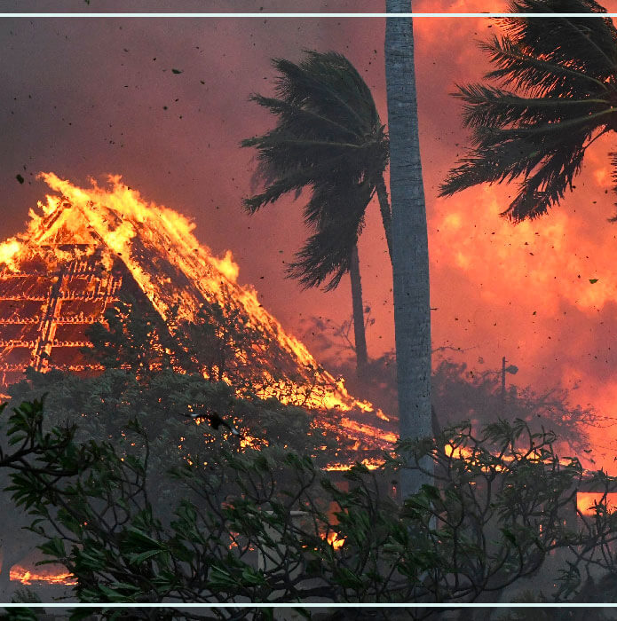 El vínculo entre el cambio climático, los incendios forestales en hawái y su impacto en perú