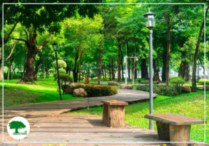 Los Espacios Públicos y su Importancia