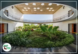 Paisajismo Biofílico: Conectando con la Naturaleza en la Ciudad